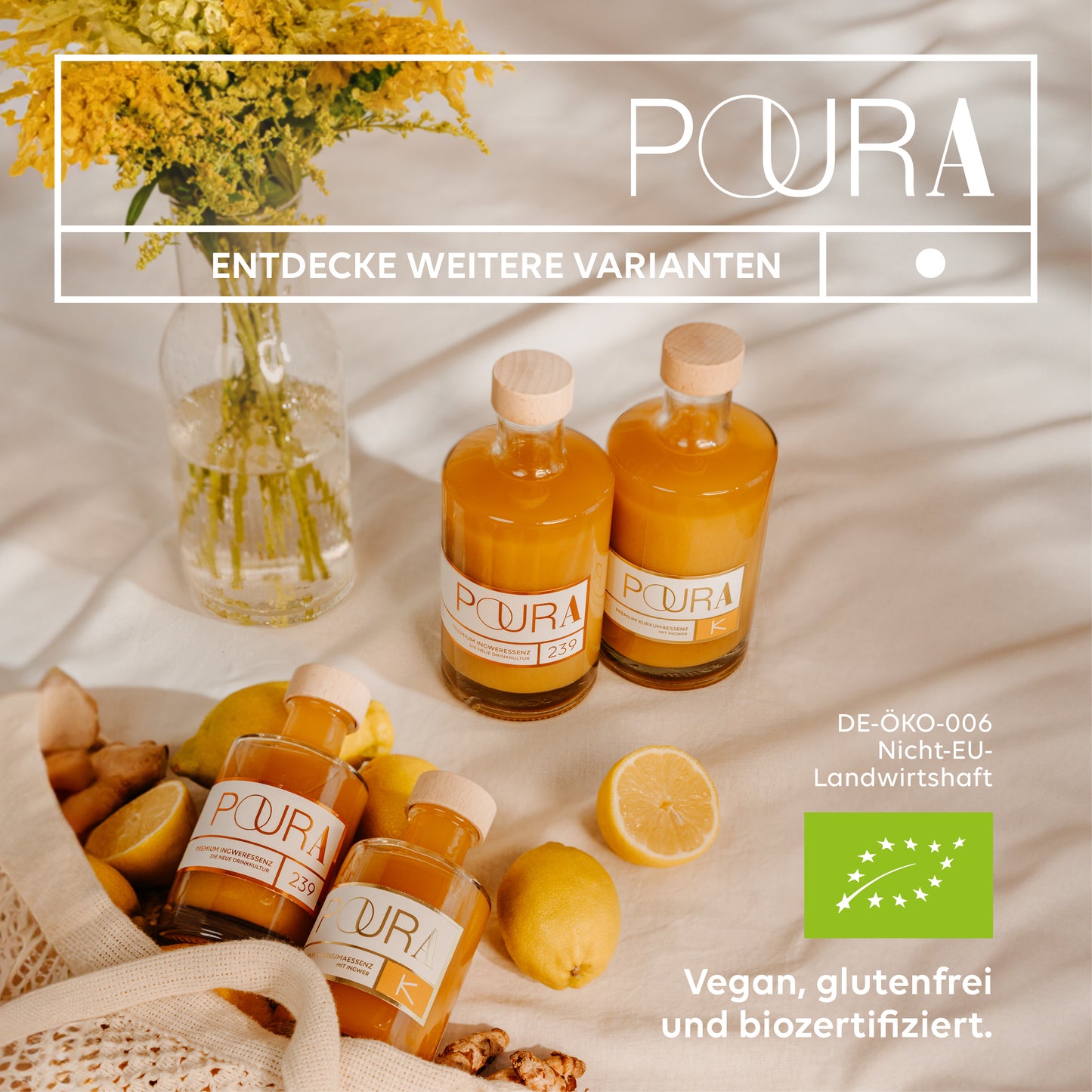 Kurkuma Essenz (495ml)